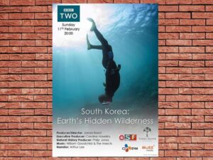 -South Korea: Earths Hidden Wilderness (2018)-<br>The Original Movie