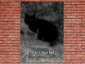 -Thats Not Me (2017)-<br>The Original Movie