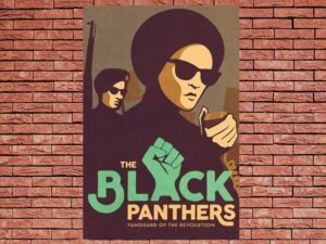 -The Black Panthers: Vanguard of the Revolution (2015)-<br>The Original Movie
