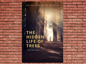 -The Hidden Life of Trees (2020)-<br>The Original Movie