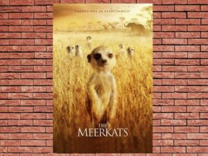 -The Meerkats (2008)-<br>The Original Movie
