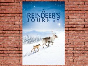 -Ailos Journey (2018)-<br>The Original Movie