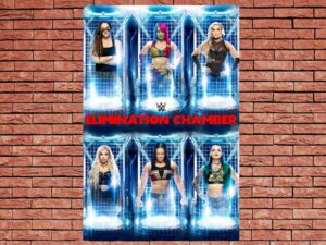 -WWE Elimination Chamber (2011)-<br>The Original Movie