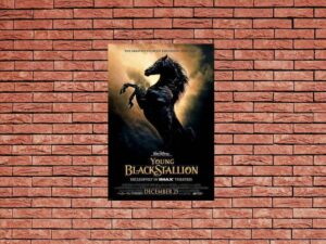 -Young Black Stallion (2003)-<br>The Original Movie