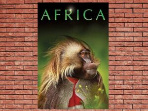 -Africa (2013)-<br>The Complete Series