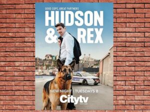 -Hudson & Rex (2019)-<br>The Complete Series