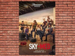 -SkyMed (2022)-<br>The Complete Series