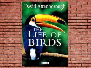-The Life of Birds (1998)-<br>The Complete Series