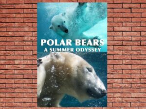 -Polar Bears: A Summer Odyssey (2012)-<br>The Original Movie