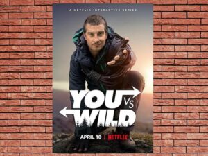 -You vs. Wild (2019)-<br>The Complete Series