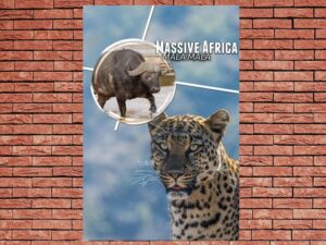 -Massive Africa: Mala Mala (2019)-<br>The Original Movie