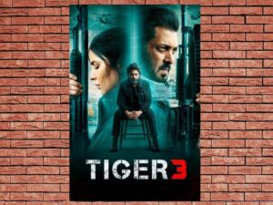 -Tiger 3 (2023)-<br>The Original Movie