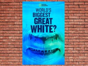 -World's Biggest Great White? (2019)-<br>The Original Movie