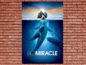 -Big Miracle (2012)-<br>The Original Movie