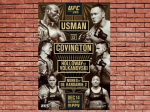 -UFC 245: Usman vs. Covington (2019)-<br>The Original Movie
