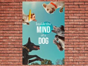 -Inside the Mind of a Dog (2024)-<br>The Original Movie