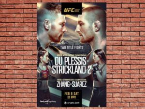 -UFC 312: Du Plessis vs. Strickland 2 (2025) (Multi Audio)-<br>The Original Movie