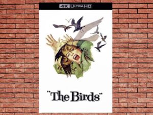 -The Birds (1963)-<br>The Original Movie