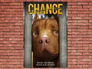 -Chance (2019)-<br>The Original Movie