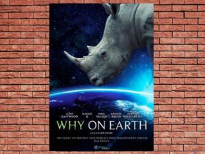 -Why On Earth (2022)-<br>The Original Movie