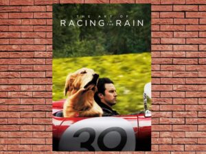 -The Art of Racing in the Rain (2019)-<br>The Original Movie