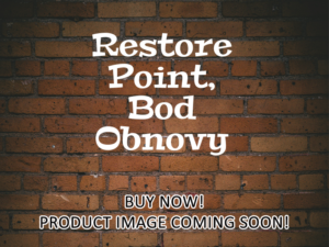 -Restore Point, Bod Obnovy (2023)-<br>The Original Movie