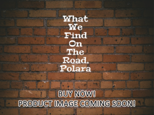 -What We Find On The Road, Polara (2024)-<br>The Original Movie