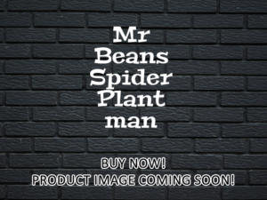 -Mr Beans Spider Plant man (2009)-<br>The Original Movie