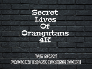 -Secret Lives Of Orangutans (2024)-<br>The Original Movie