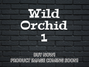 -Wild Orchid 1 (1989)-<br>The Original Movie
