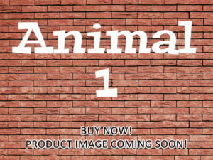 -Animal 1 (2005)-<br>The Original Movie