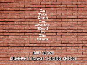 -La Tete Dans Les Etoiles, Head In The Stars (2023)-<br>The Original Movie