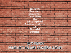 -Secret Service Director Testifies On Attempted Assassination Of Donald Trump (2024)-<br>The Original Movie