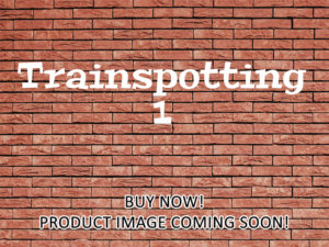 -Trainspotting 1 (1996)-<br>The Original Movie