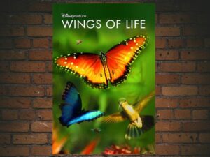 -Wings of Life (2011)-<br>The Original Movie