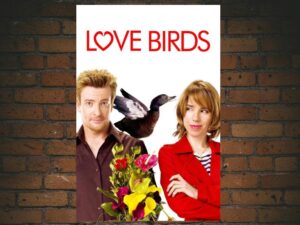 -Love Birds (2011)-<br>The Original Movie