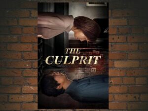 -The Culprit (2019)-<br>The Original Movie