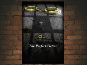 -The Perfect Victim (2012)-<br>The Original Movie