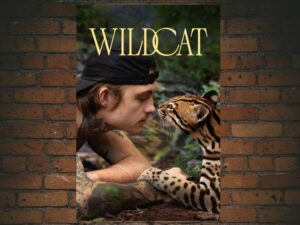 -Wildcat (2022)-<br>The Original Movie