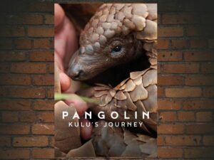 -Pangolin: Kulu's Journey (2025)-<br>The Original Movie