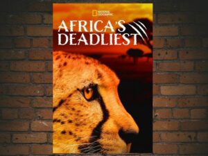 -Africa's Deadliest (2011)-<br>The Original Movie