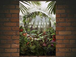 -The Green Planet (2022)-<br>The Complete Series