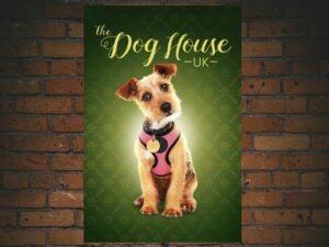 -The Dog House (2019)-<br>The Complete Series