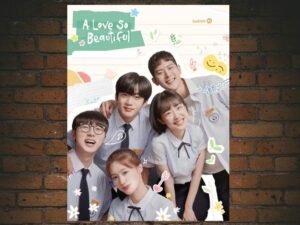 -A Love So Beautiful (2020)-<br>The Complete Series
