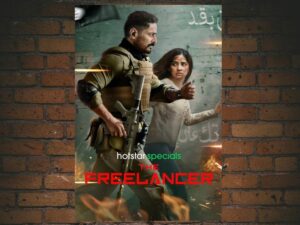 -The Freelancer (2023)-<br>The Complete Series