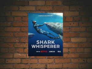 -Shark Whisperer (2025)-<br>The Original Movie