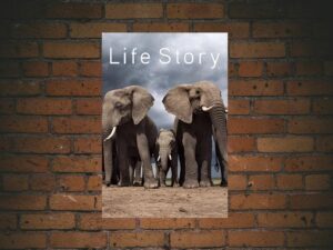 -Life Story (2014)-<br>The Complete Series
