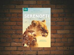 -Serengeti (2019)-<br>The Complete Series
