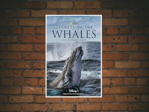 -Secrets of the Whales (2021)-<br>The Complete Series