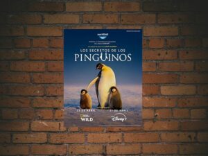 -Secrets of the Penguins (2025)-<br>The Original Movie